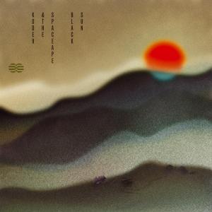 Cover van Kode 9 & the Spaceape – Black Sun