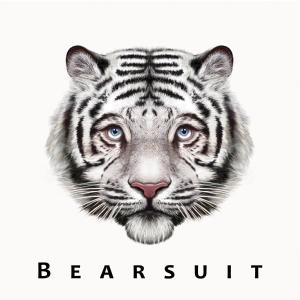 Cover van Bearsuit – Phantom Forest