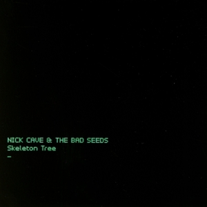 Cover van Nick Cave & the Bad Seeds – Skeleton Tree