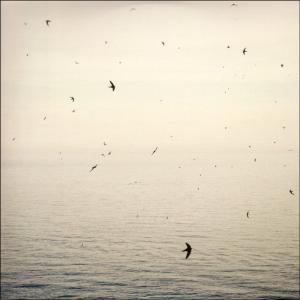 Cover van On – Your Naked Ghost Comes Back At Night