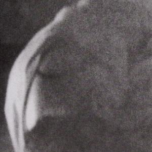 Cover van Heavy Winged – Sunspotted