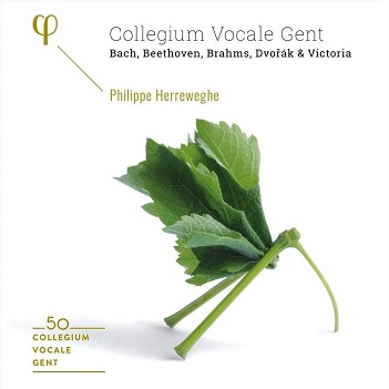 Cover van Collegium Vocale Gent – 50th Anniversary
