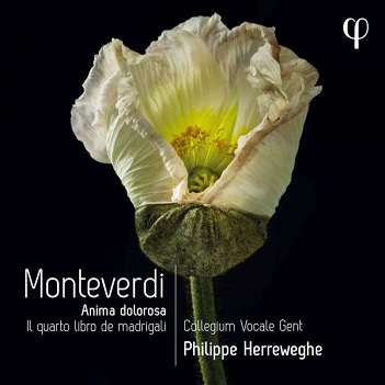 Cover van Collegium Vocale Gent – Monteverdi: Il Quarto Libro De Madrigali