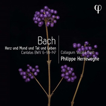 Cover van Herreweghe, Philippe – Herz Und Mund Und Tat Und Leben