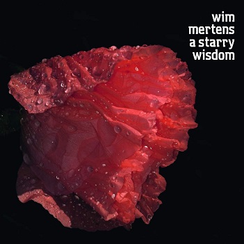 Cover van Mertens, Wim – A Starry Wisdom