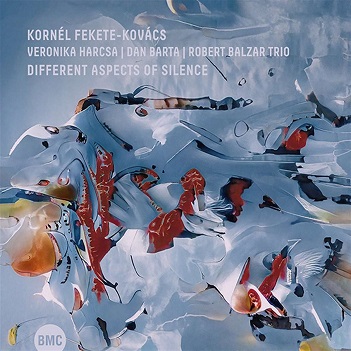 Cover van Fekete-Kovacs, Kornel – Different Aspects of Silence