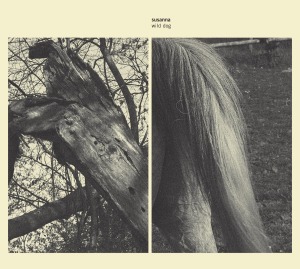 Cover van Susanna – Wild Dog