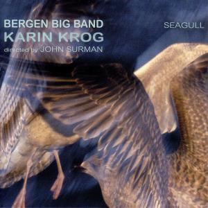 Cover van Krog, Karin – Seagull