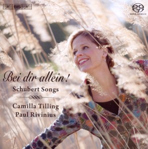 Cover van Kaufmann, Jonas – Bei Dir Allein!