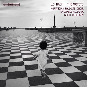 Cover van Norwegian Soloists' Choir & Ensemble Allegria & Grete Pedersen – J.S. Bach: the Motets
