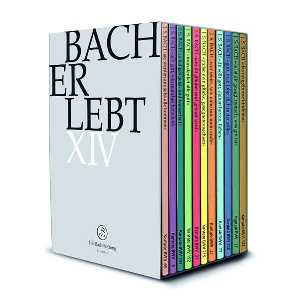 Cover van Choir & Orchestra of the J.S. Bach Foundation – Bach Erlebt Xiii