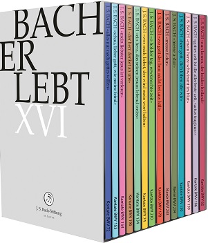 Cover van Choir & Orchestra of the J.S. Bach Foundation & Rudolf Lutz – Bach Erlebt Xvi