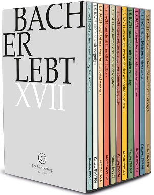 Cover van Chor & Orchester Der J.S. Bach-Stiftung & Rudolf Lutz – Bach Erlebt Xvii