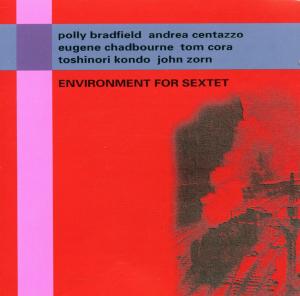 Cover van V/A – Environment For Sextet