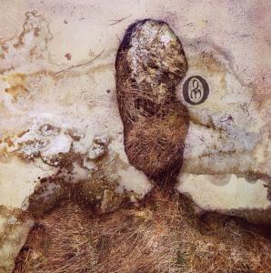 Cover van Negura Bunget – Om