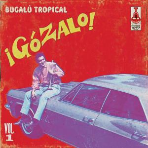 Cover van Various – Gozalo! Vol. 1