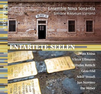 Cover van Riksman, Simone – Entartete Seelen