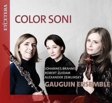 Cover van Gauguin Ensemble – Color Soni