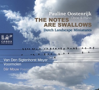 Cover van Oostenrijk, Pauline – Notes Are Swallows, Dutch Landscape Miniatures